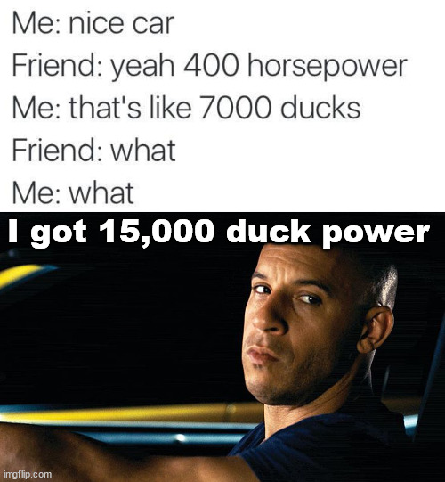 Duck Stream or Car Stream | I got 15,000 duck power | image tagged in vin diesel in a car,duck,cars | made w/ Imgflip meme maker