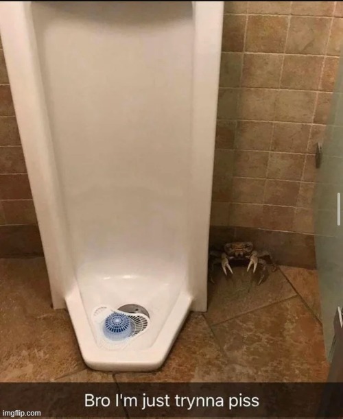 if he pees... | image tagged in bro i'm just tryna piss | made w/ Imgflip meme maker