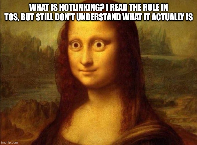 Mona Lisa woke | WHAT IS HOTLINKING? I READ THE RULE IN TOS, BUT STILL DON'T UNDERSTAND WHAT IT ACTUALLY IS | image tagged in mona lisa woke | made w/ Imgflip meme maker