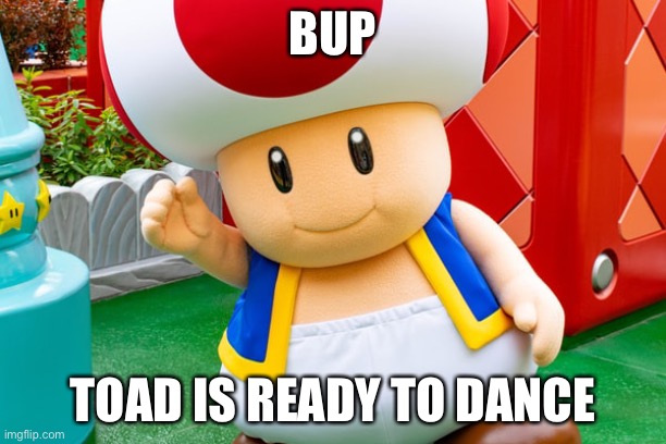 Toad is ready to dance! | BUP; TOAD IS READY TO DANCE | image tagged in bup | made w/ Imgflip meme maker