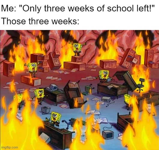 The mitochondria is the powerhouse of the cell | Me: "Only three weeks of school left!"; Those three weeks: | image tagged in spongebob fire | made w/ Imgflip meme maker