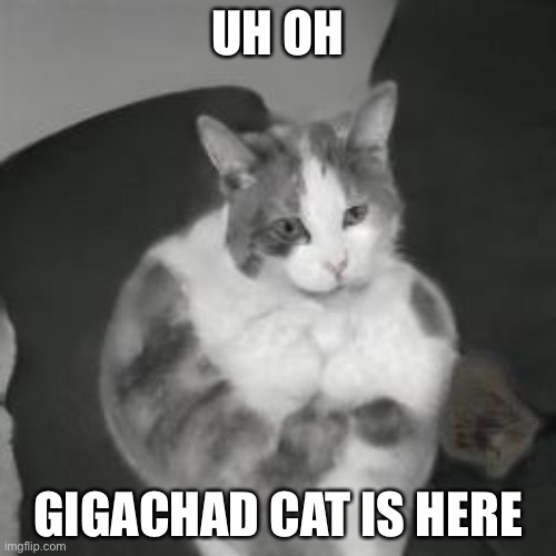 gigachad Memes & GIFs - Imgflip