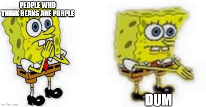 Spongebob *Inhale* Boi | PEOPLE WHO THINK BEANS ARE PURPLE; DUM | image tagged in spongebob inhale boi | made w/ Imgflip meme maker