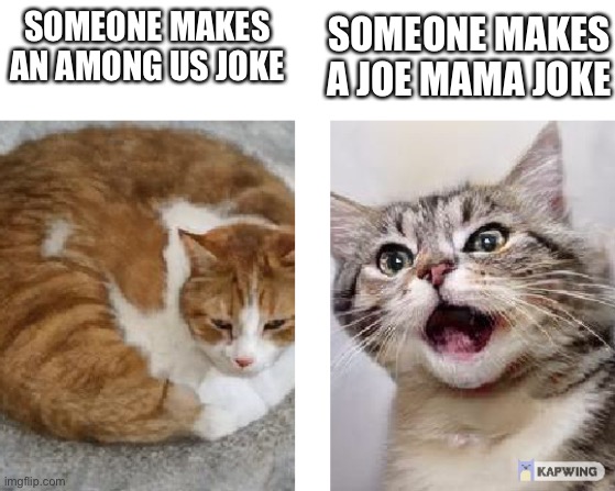 Me when someone makes a joke | SOMEONE MAKES AN AMONG US JOKE; SOMEONE MAKES A JOE MAMA JOKE | image tagged in bored cat and amused cat | made w/ Imgflip meme maker