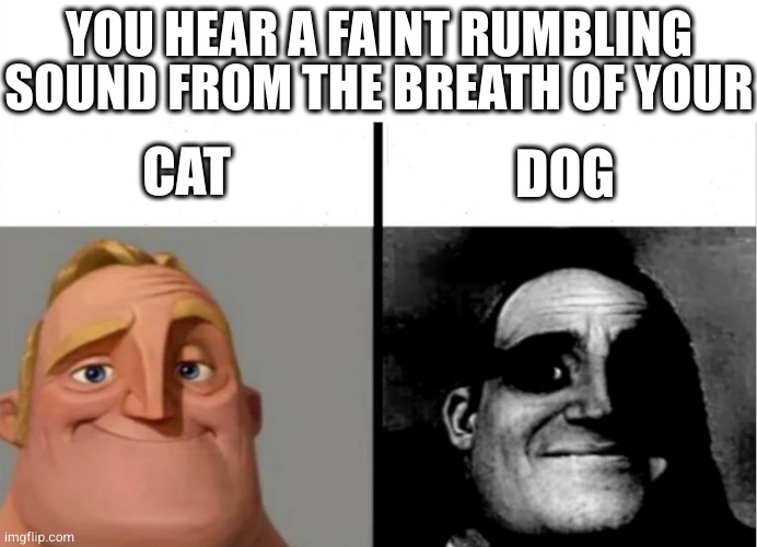 you hear a faint rumbling sound from the breath of your cat or dog | YOU HEAR A FAINT RUMBLING SOUND FROM THE BREATH OF YOUR; CAT; DOG | image tagged in teacher's copy | made w/ Imgflip meme maker