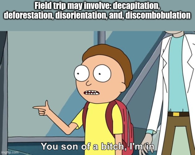 count me in | Field trip may involve: decapitation, deforestation, disorientation, and, discombobulation | image tagged in morty i'm in | made w/ Imgflip meme maker