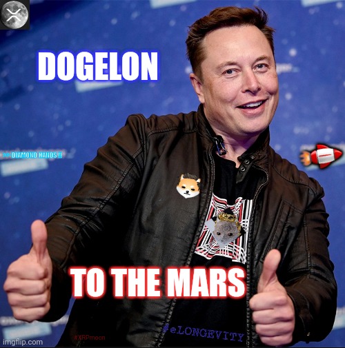 Why Just Shoot for the Moon? #XRPmoon #DogelontotheMars $ELON | DOGELON; 🚀; >> DIAMOND HANDS !! TO THE MARS; #eLONGEVITY; #XRPmoon | image tagged in elon musk thumbs up,life on mars,interstellar,cryptocurrency,ripple,xrp | made w/ Imgflip meme maker