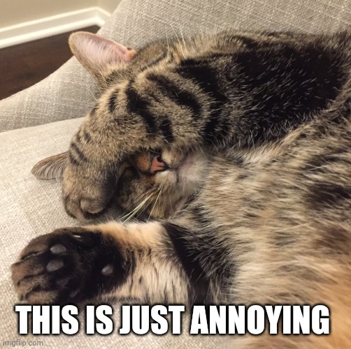 eyes covered cat | THIS IS JUST ANNOYING | image tagged in eyes covered cat | made w/ Imgflip meme maker