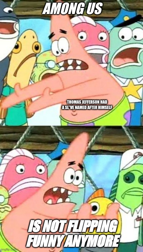 Put It Somewhere Else Patrick | AMONG US; THOMAS JEFFERSON HAD A SL*VE NAMED AFTER HIMSELF; IS NOT FLIPPING FUNNY ANYMORE | image tagged in memes,put it somewhere else patrick | made w/ Imgflip meme maker