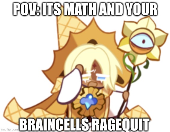 Pov: Its math | POV: ITS MATH AND YOUR; BRAINCELLS RAGEQUIT | image tagged in memes | made w/ Imgflip meme maker