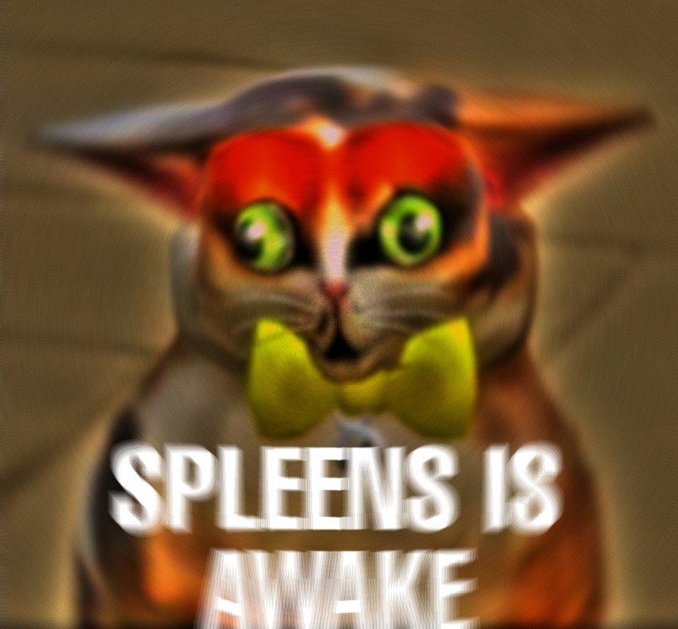 High Quality SPLEENS IS AWAKE Blank Meme Template
