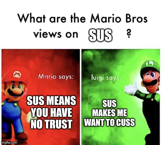 Mario Bros Views | SUS; SUS MEANS YOU HAVE NO TRUST; SUS MAKES ME WANT TO CUSS | image tagged in mario bros views | made w/ Imgflip meme maker