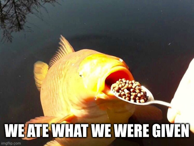 Fish with food | WE ATE WHAT WE WERE GIVEN | image tagged in fish with food | made w/ Imgflip meme maker