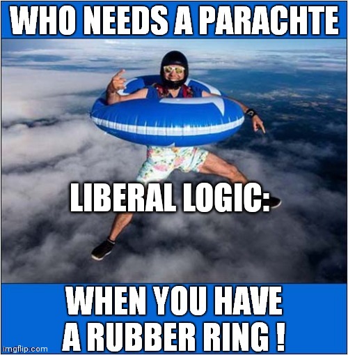 Credit to SardineYoghurt for the meme | LIBERAL LOGIC: | made w/ Imgflip meme maker