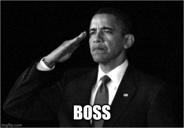 obama-salute | BOSS | image tagged in obama-salute | made w/ Imgflip meme maker