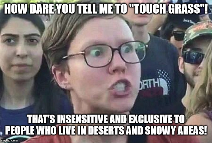 Triggered Liberal | HOW DARE YOU TELL ME TO "TOUCH GRASS"! THAT'S INSENSITIVE AND EXCLUSIVE TO PEOPLE WHO LIVE IN DESERTS AND SNOWY AREAS! | image tagged in triggered liberal,touching,grass | made w/ Imgflip meme maker