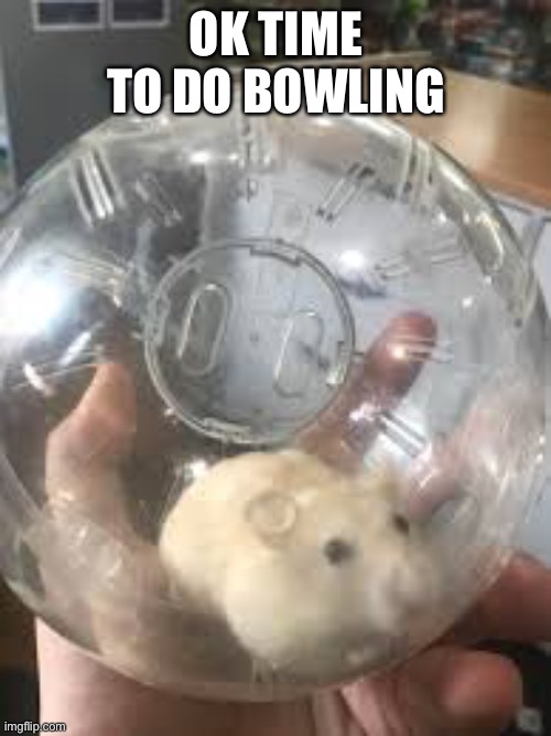OK TIME TO DO BOWLING | made w/ Imgflip meme maker