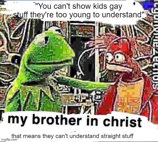 My brother in Christ | "You can't show kids gay stuff they're too young to understand"; that means they can't understand straight stuff | image tagged in my brother in christ | made w/ Imgflip meme maker