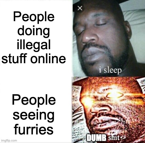 FUrrie is dumb | People doing illegal stuff online; People seeing furries; DUMB | image tagged in memes,sleeping shaq | made w/ Imgflip meme maker