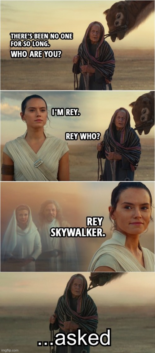 but who tho? | image tagged in sequels,star wars,funny,memes,skywalker,the rise of skywalker | made w/ Imgflip meme maker