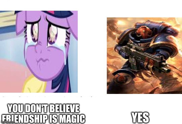 the virgin twilight vs the chad space marine | YOU DON'T BELIEVE FRIENDSHIP IS MAGIC; YES | image tagged in soyboy vs yes chad,memes | made w/ Imgflip meme maker