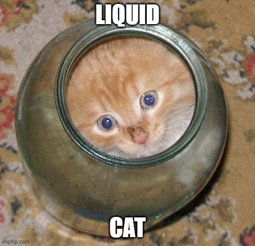 Liquid Cat | LIQUID; CAT | image tagged in liquid,cat | made w/ Imgflip meme maker