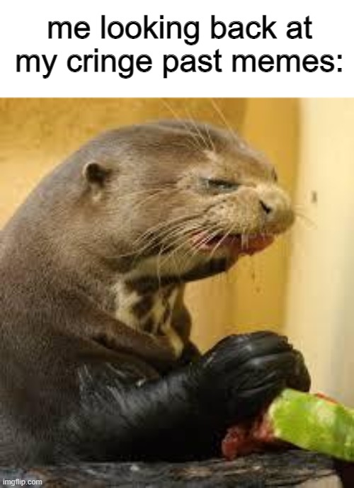 oh | me looking back at my cringe past memes: | image tagged in disgusted otter,cringe | made w/ Imgflip meme maker