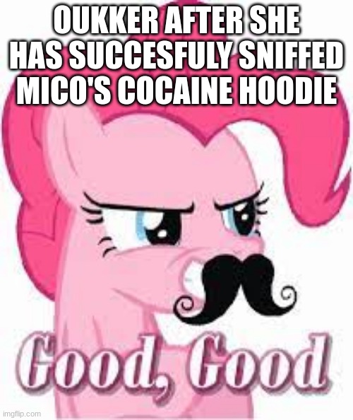 OUKKER AFTER SHE HAS SUCCESFULY SNIFFED MICO'S COCAINE HOODIE | made w/ Imgflip meme maker