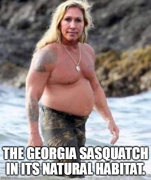 Georgia Sasquatch | THE GEORGIA SASQUATCH IN ITS NATURAL HABITAT. | image tagged in marjorie taylor greene,mgt,maga,donald trump approves | made w/ Imgflip meme maker