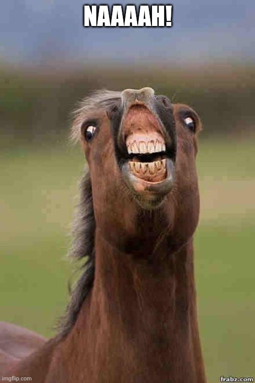 horse face | NAAAAH! | image tagged in horse face | made w/ Imgflip meme maker