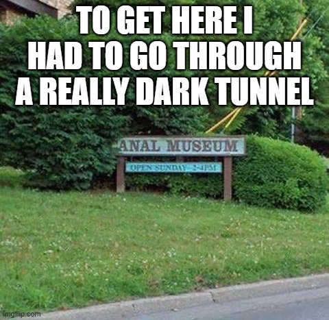 TO GET HERE I HAD TO GO THROUGH A REALLY DARK TUNNEL | image tagged in dark humor | made w/ Imgflip meme maker