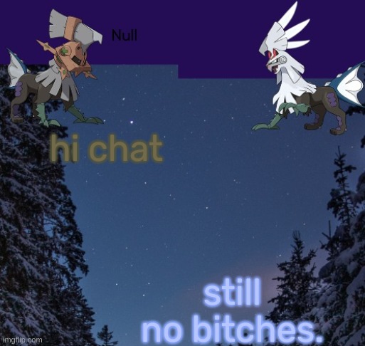 hi chat; still no bitches. | image tagged in null templateo | made w/ Imgflip meme maker