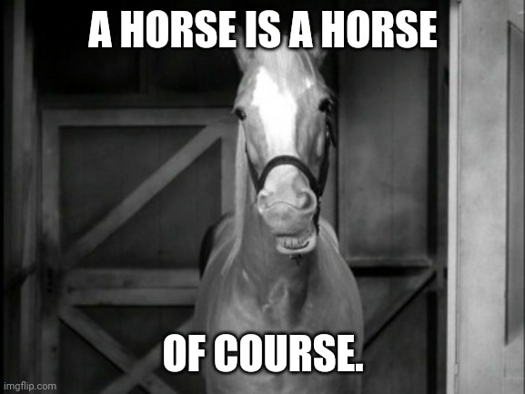 Mr. Ed | A HORSE IS A HORSE OF COURSE. | image tagged in mr ed | made w/ Imgflip meme maker