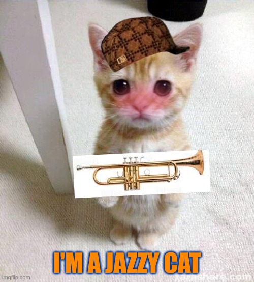 CUTE KITTAY | I'M A JAZZY CAT | image tagged in memes,cute cat | made w/ Imgflip meme maker