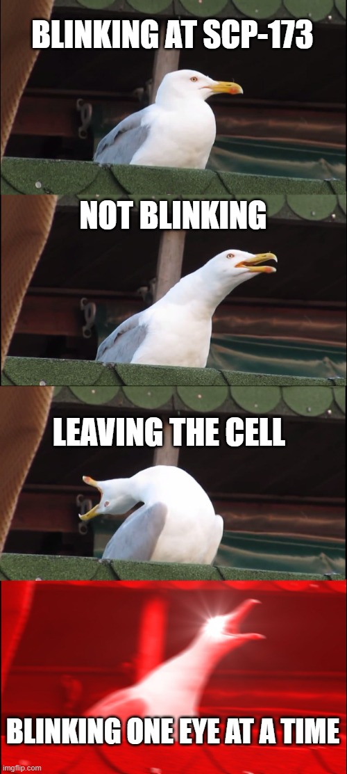 173 tips | BLINKING AT SCP-173; NOT BLINKING; LEAVING THE CELL; BLINKING ONE EYE AT A TIME | image tagged in memes,inhaling seagull | made w/ Imgflip meme maker