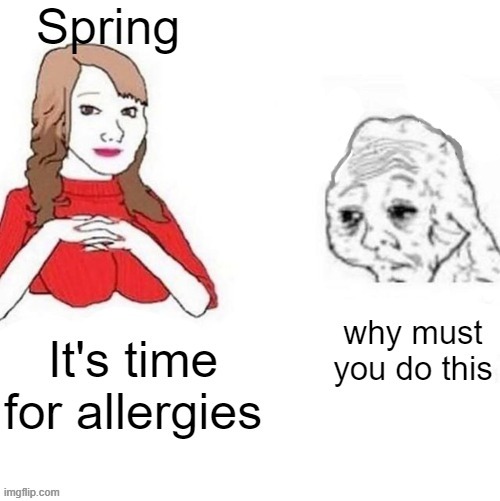 I hate Spring | image tagged in spring,allergies | made w/ Imgflip meme maker
