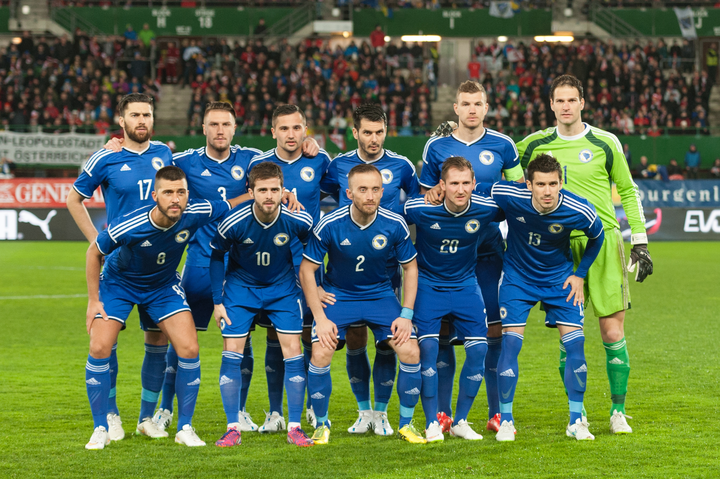 High Quality Bosnian Football Team Blank Meme Template