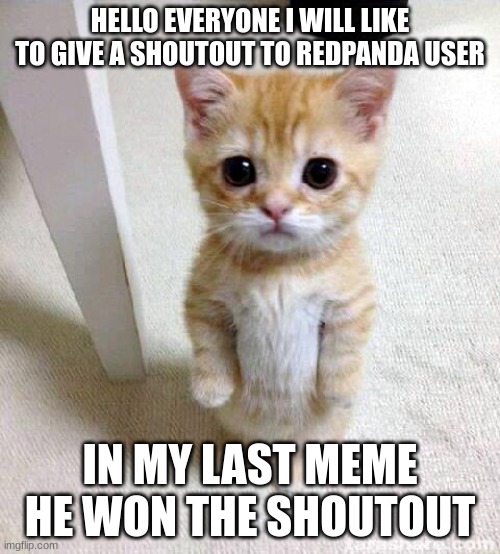 congrats redpanda | HELLO EVERYONE I WILL LIKE TO GIVE A SHOUTOUT TO REDPANDA USER; IN MY LAST MEME HE WON THE SHOUTOUT | image tagged in memes,cute cat,shouting | made w/ Imgflip meme maker