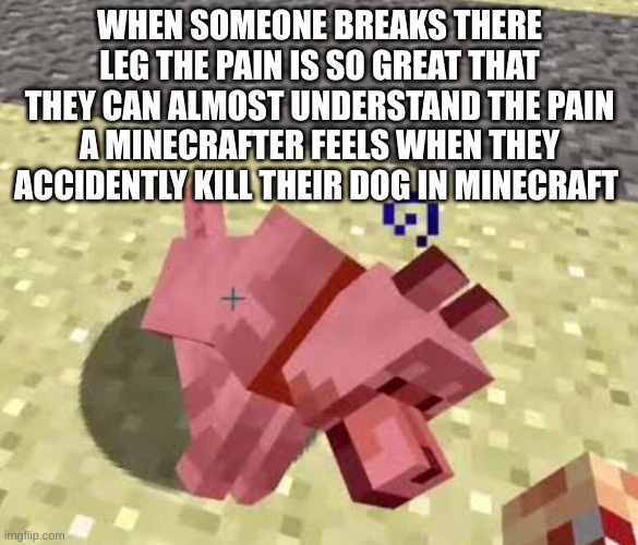 sadness | WHEN SOMEONE BREAKS THERE LEG THE PAIN IS SO GREAT THAT THEY CAN ALMOST UNDERSTAND THE PAIN A MINECRAFTER FEELS WHEN THEY ACCIDENTLY KILL THEIR DOG IN MINECRAFT | image tagged in minecraft memes | made w/ Imgflip meme maker