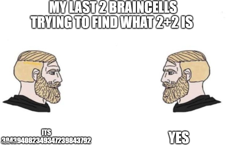 .... | MY LAST 2 BRAINCELLS TRYING TO FIND WHAT 2+2 IS; YES; ITS 384394082349347239843792 | image tagged in double yes chad | made w/ Imgflip meme maker