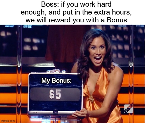 This meme is for those of you who are underpaid, underappreciated, and under a lot of stress | Boss: if you work hard enough, and put in the extra hours, we will reward you with a Bonus; My Bonus: | image tagged in deal or no deal,so true,work,working | made w/ Imgflip meme maker