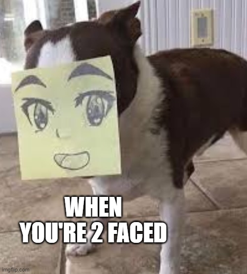 Lol | WHEN YOU'RE 2 FACED | image tagged in anime dog | made w/ Imgflip meme maker