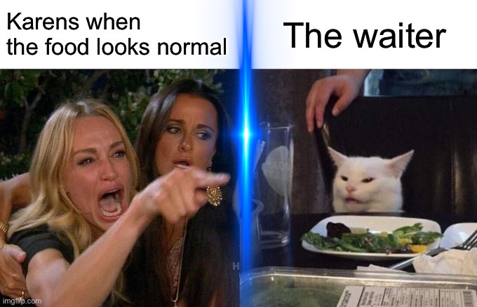 Karen meme #2 | Karens when the food looks normal; The waiter | image tagged in memes,woman yelling at cat | made w/ Imgflip meme maker