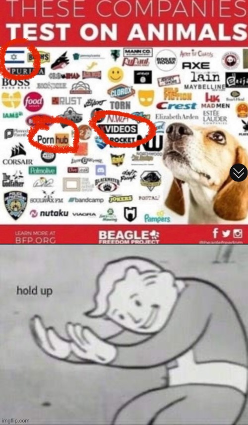 Companies that physically can’t test on dogs: Israel, Rust (game), Gaijin, Rocket League (game), Discord | image tagged in fallout hold up | made w/ Imgflip meme maker