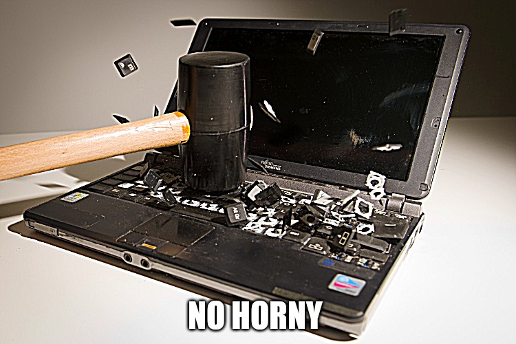 smash computer | NO HORNY | image tagged in smash computer | made w/ Imgflip meme maker