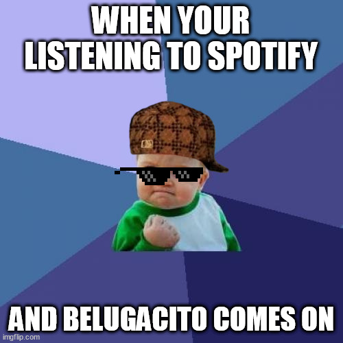 Belugacito real song | WHEN YOUR LISTENING TO SPOTIFY; AND BELUGACITO COMES ON | image tagged in memes,success kid | made w/ Imgflip meme maker