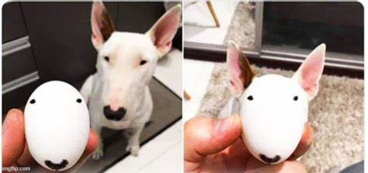 eg | made w/ Imgflip meme maker