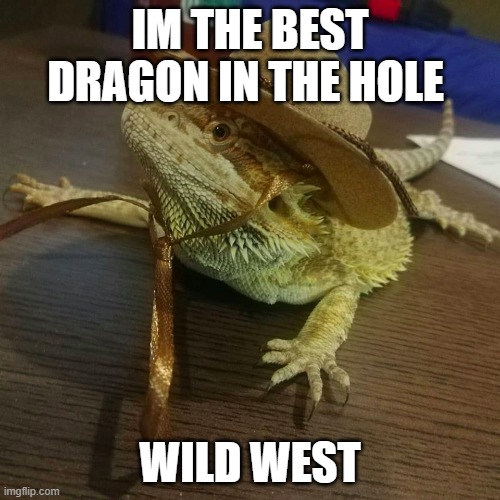 Indiana Bearded Dragon | IM THE BEST DRAGON IN THE HOLE; WILD WEST | image tagged in indiana bearded dragon | made w/ Imgflip meme maker