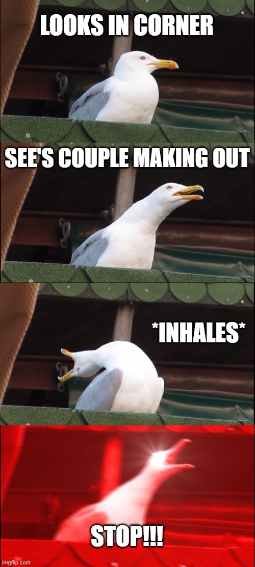 Inhaling Seagull | LOOKS IN CORNER; SEE'S COUPLE MAKING OUT; *INHALES*; STOP!!! | image tagged in memes,inhaling seagull | made w/ Imgflip meme maker