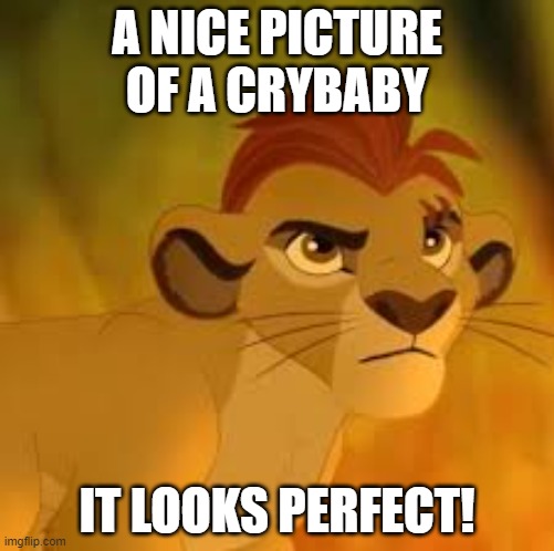 Kion crybaby | A NICE PICTURE OF A CRYBABY; IT LOOKS PERFECT! | image tagged in kion crybaby,memes,president_joe_biden | made w/ Imgflip meme maker